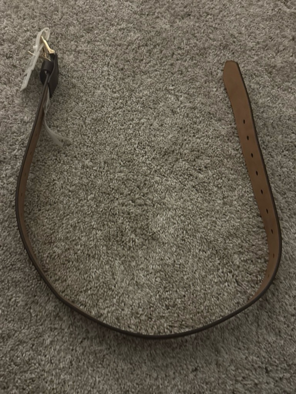 Brown belt with gold buckle